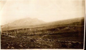 View post fire Trousers Point turnoff in foreground